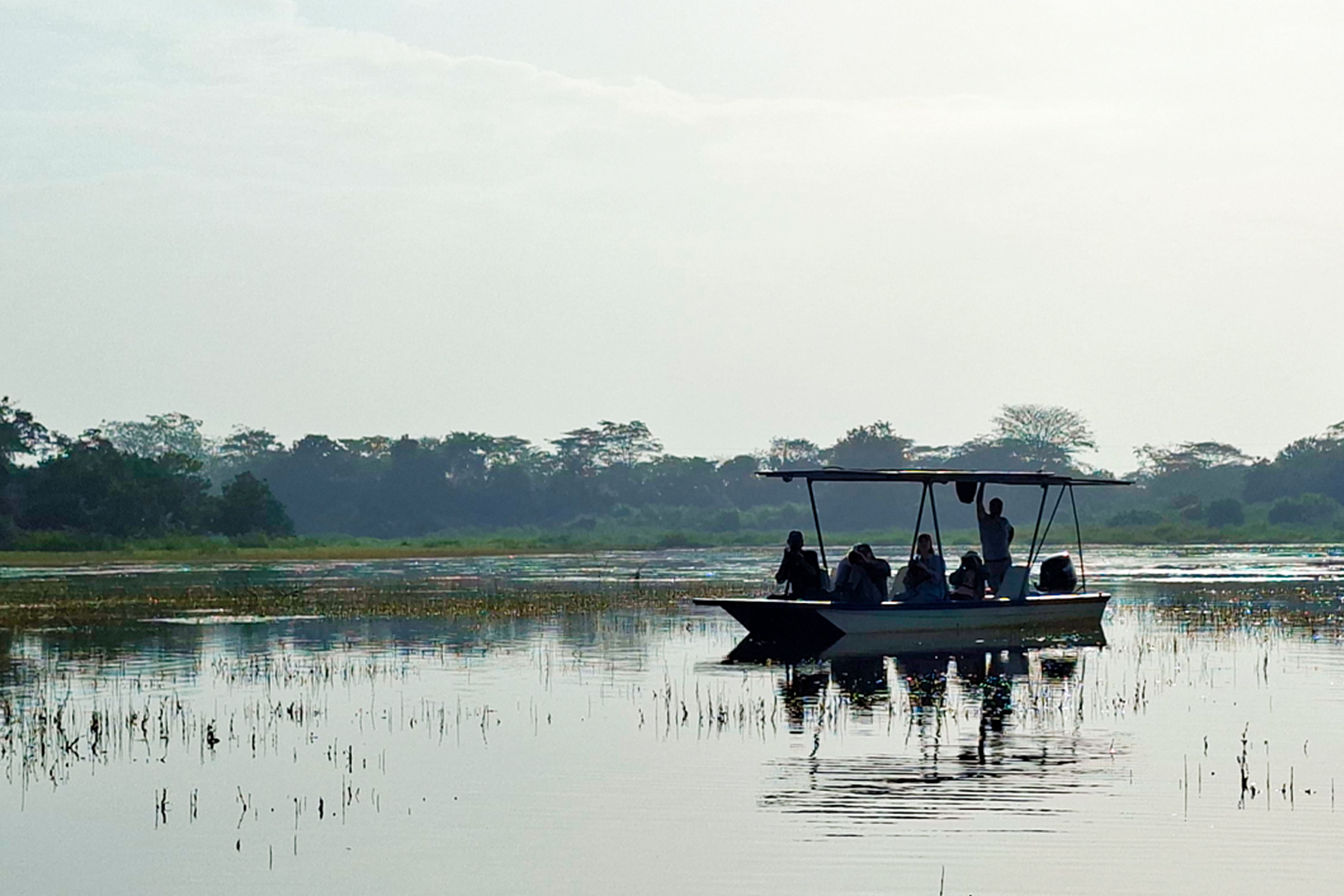 Photo from 15-Day Complete Costa Rica Birding Journey safari tour